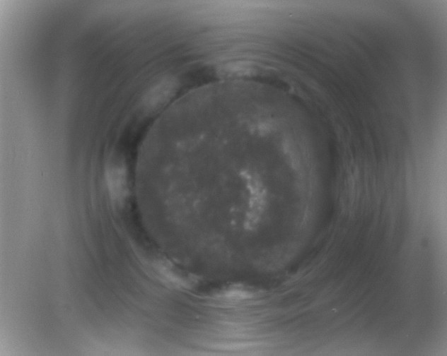 X0000082740224200701261450