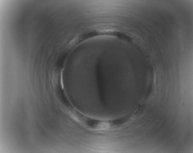 X0000082740227200701261449