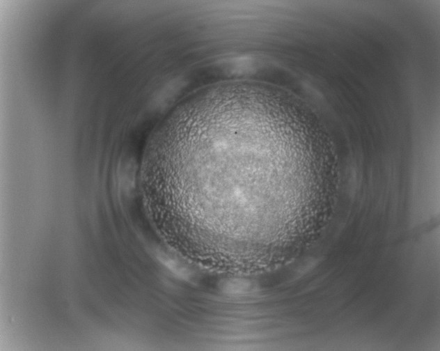 X0000082740230200701261449