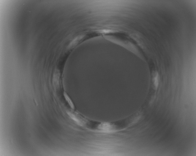 X0000082740231200701261449