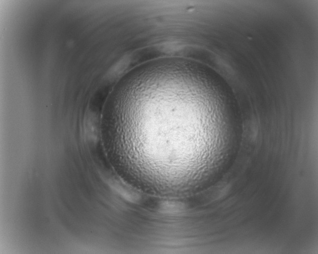 X0000082740234200701261449