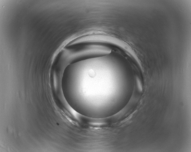 X0000082740244200701261448