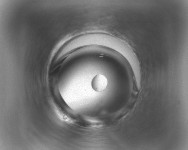 X0000082740248200701261449