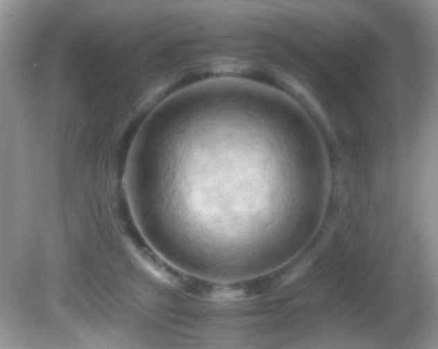 X0000082740257200701261449