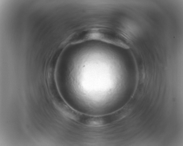 X0000082740263200701261449