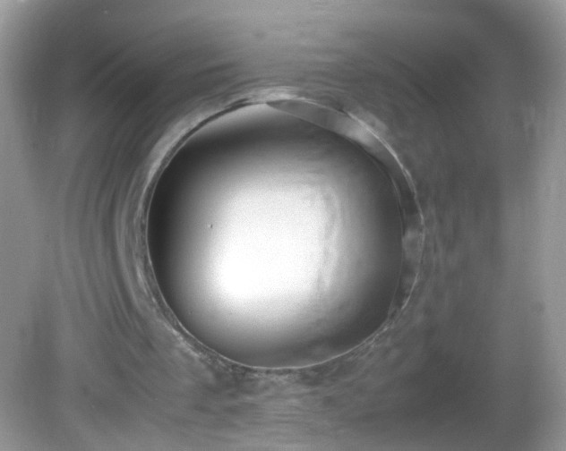 X0000082740289200701261448