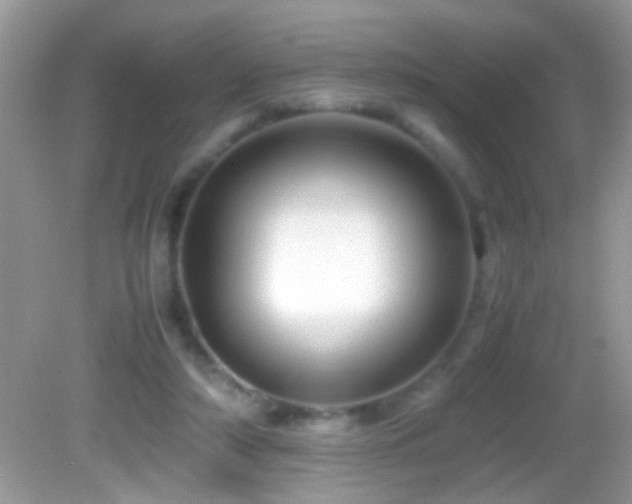 X0000082740306200701261448