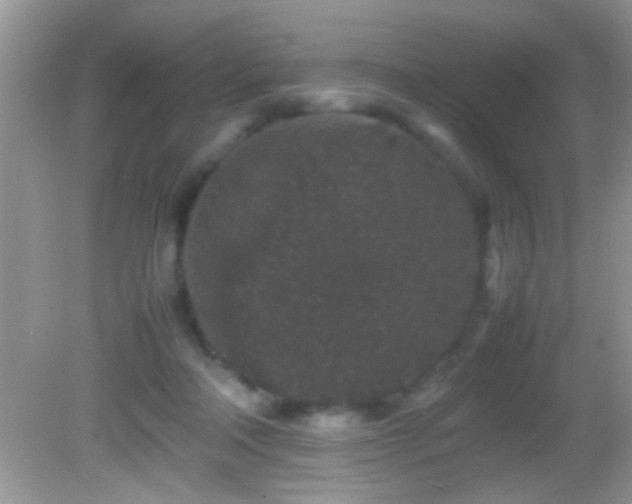 X0000082740314200701261448