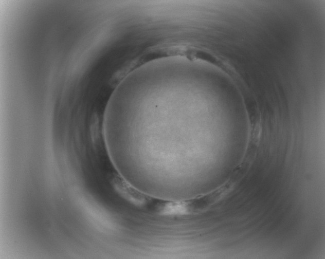 X0000082740335200701261448