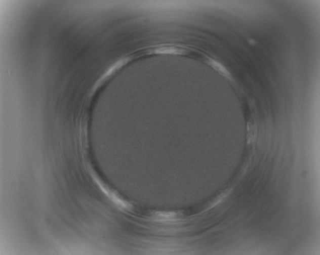 X0000082740349200701261447