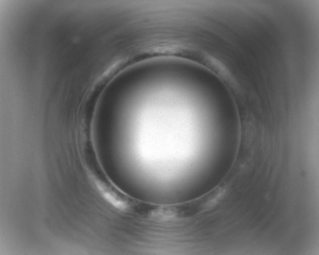 X0000082740354200701261447
