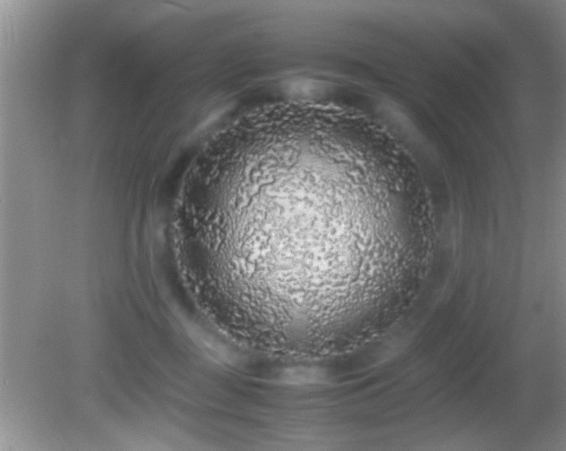 X0000082740363200701261447