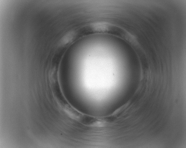 X0000082740364200701261447