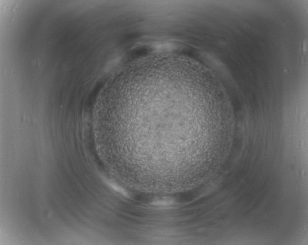 X0000082740369200701261447