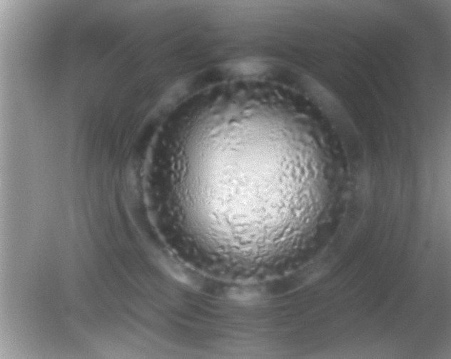 X0000082740373200701261447