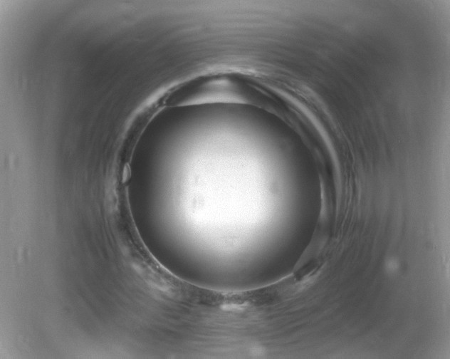 X0000082740388200701261447