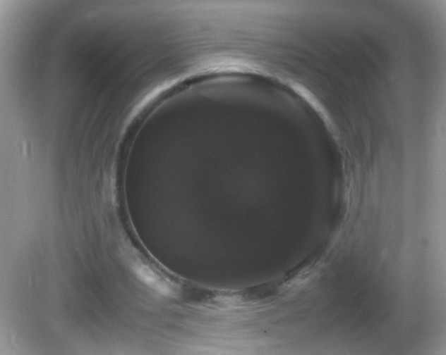 X0000082740391200701261447