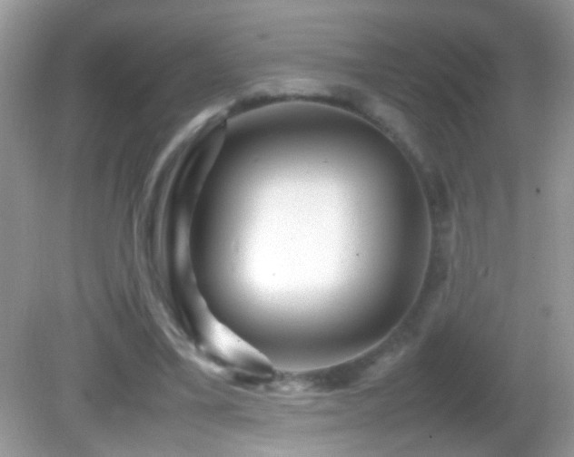 X0000082740395200701261447