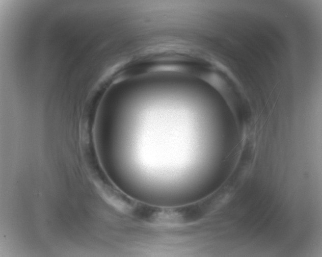 X0000082740403200701261446