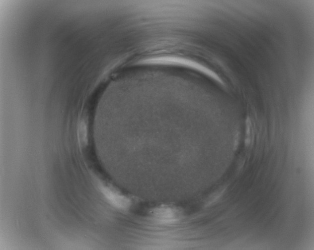 X0000082740404200701261446