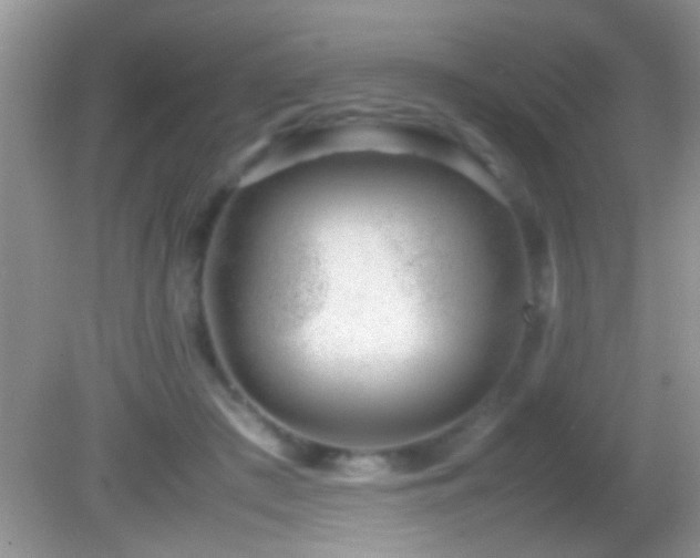 X0000082740409200701261446