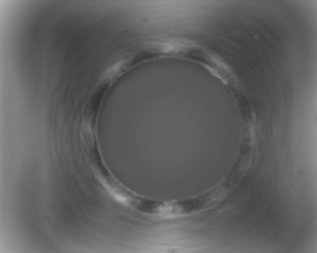 X0000082740415200701261446