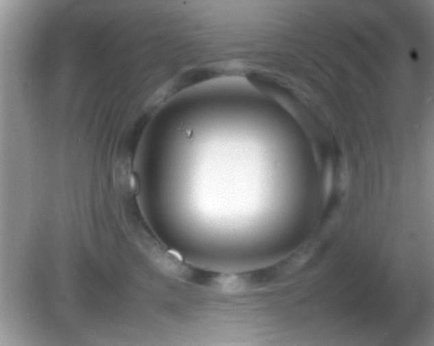 X0000082740425200701261446