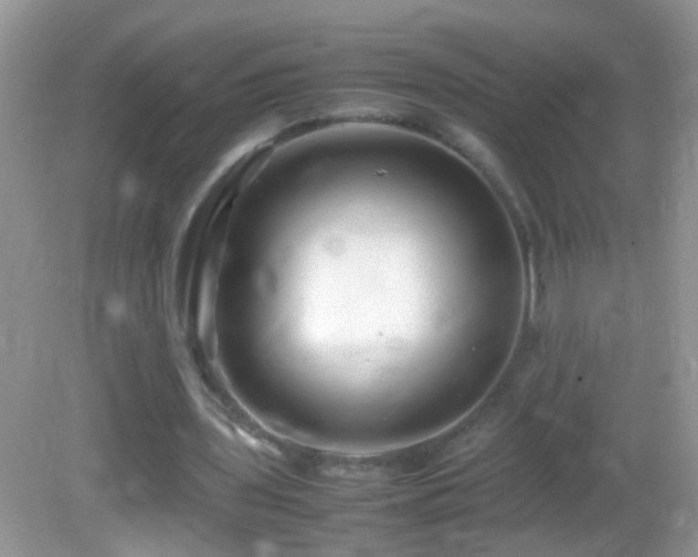 X0000082740435200701261445