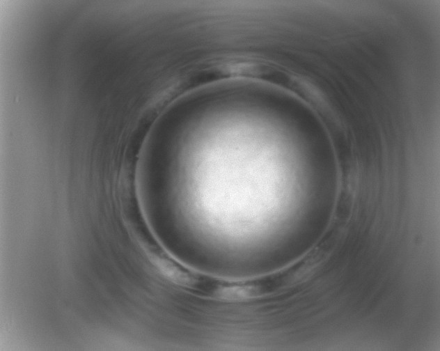 X0000082740461200701261446