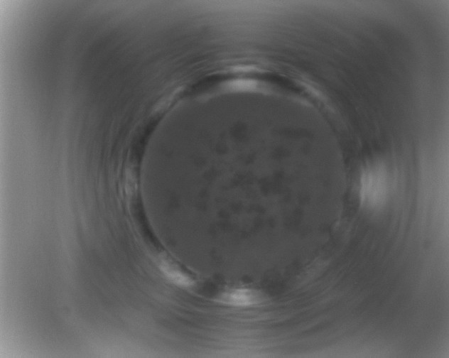 X0000082740467200701261446