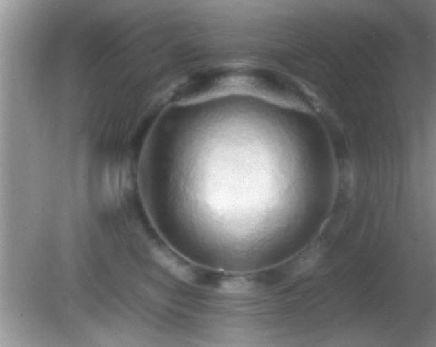 X0000082740470200701261446
