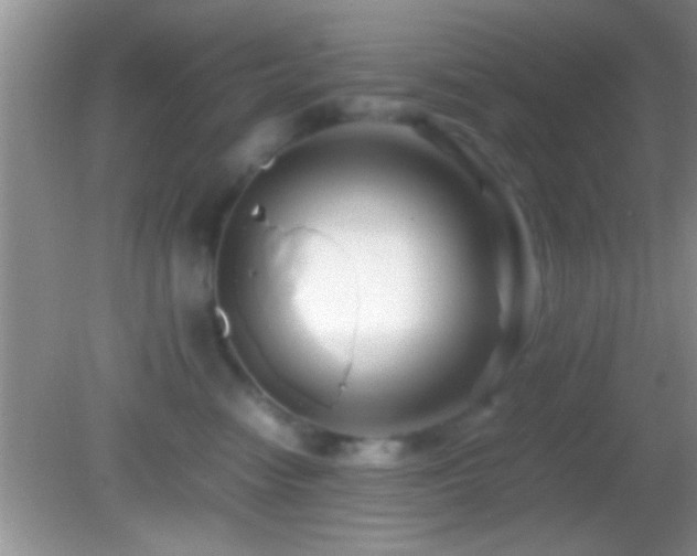 X0000082740474200701261446