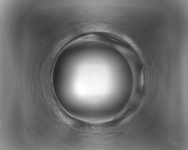 X0000082740481200701261445