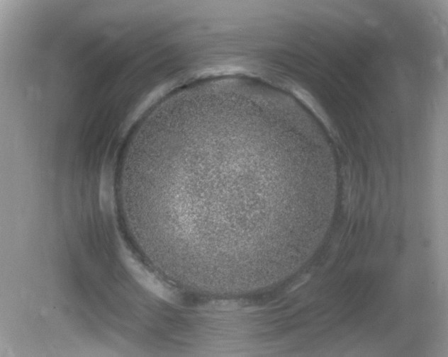 X0000082740482200701261445