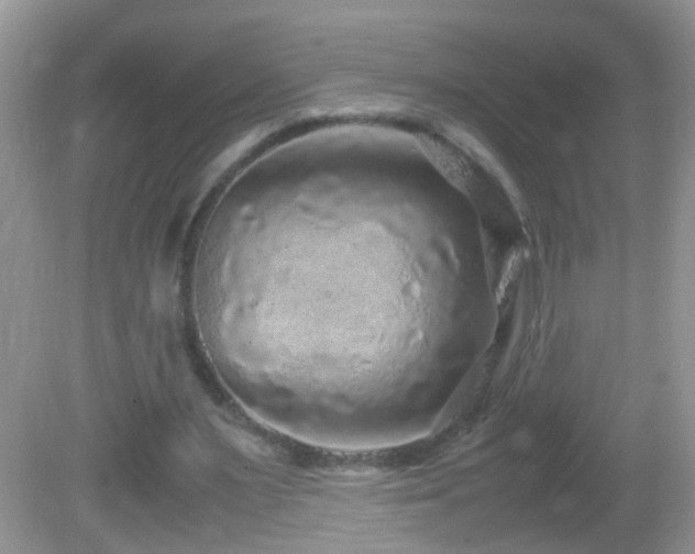 X0000082740483200701261445