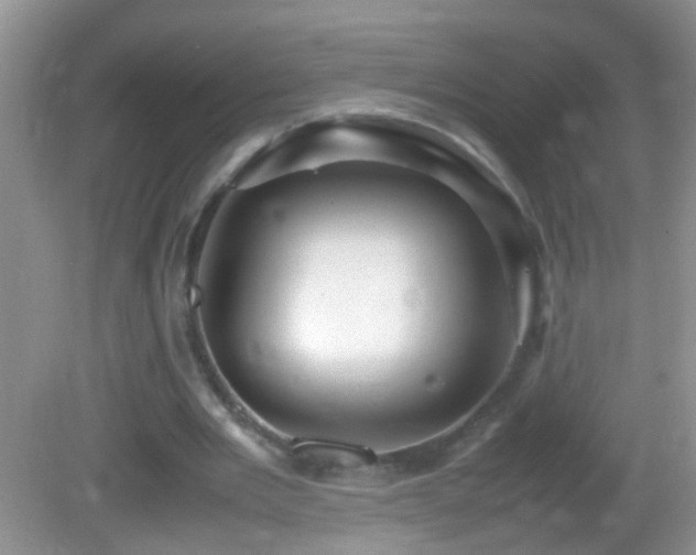 X0000082740485200701261445