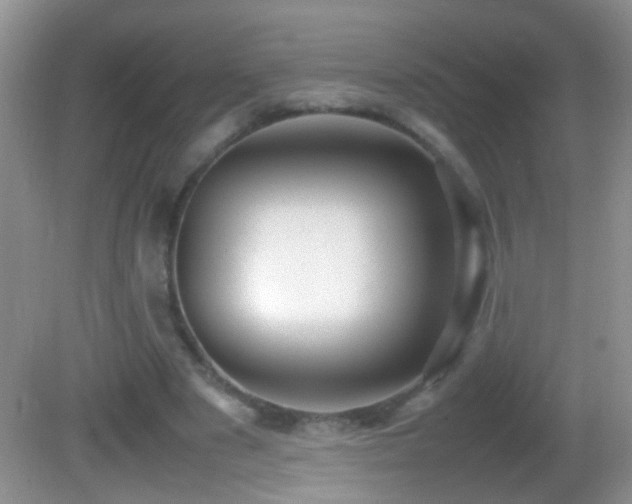 X0000082740489200701261445