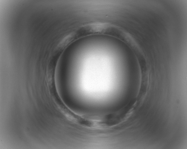 X0000082740505200701261445