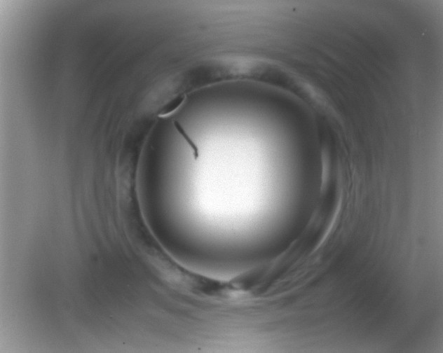 X0000082740509200701261445