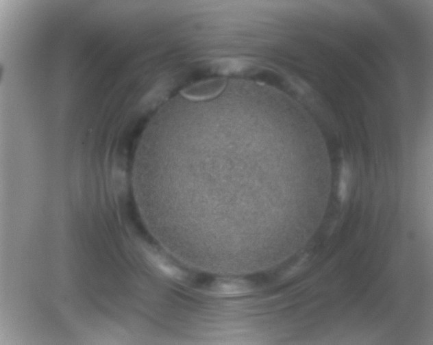 X0000082740510200701261445