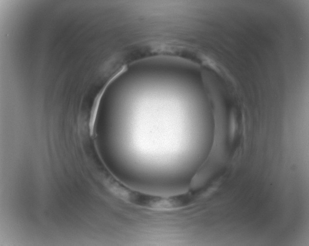 X0000082740513200701261445