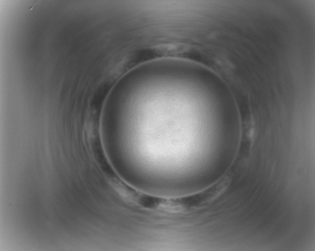 X0000082740515200701261445