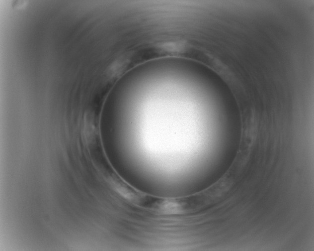 X0000082740518200701261445