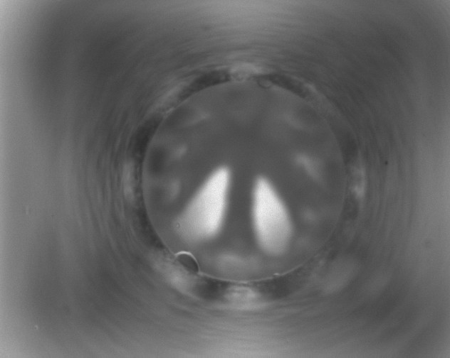 X0000082740519200701261445