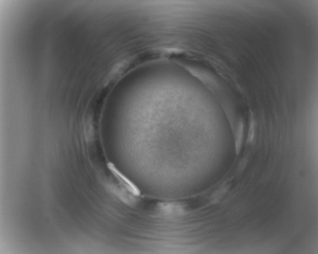 X0000082740520200701261445