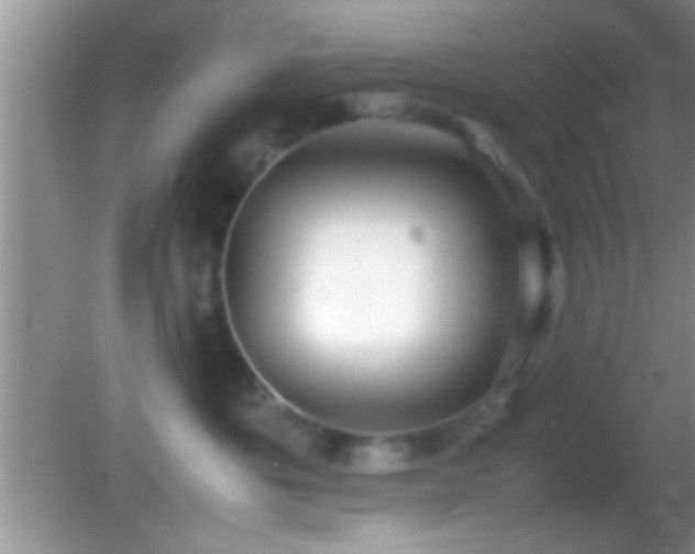 X0000082740525200701261444