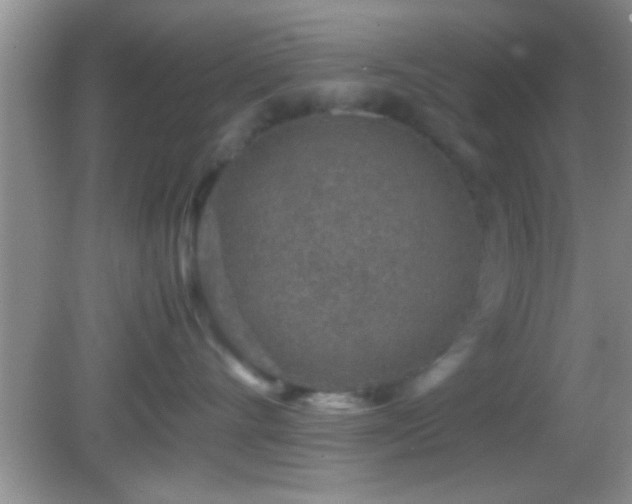X0000082740528200701261444