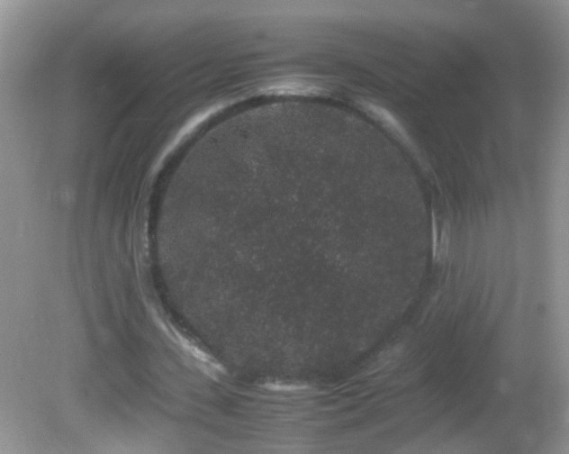 X0000082740531200701261444