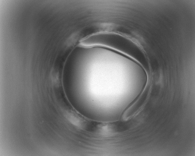 X0000082740564200701261444