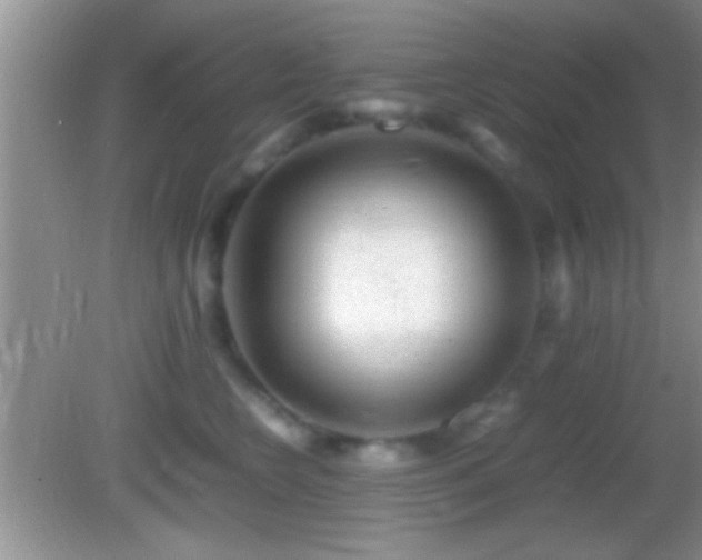 X0000082740566200701261444